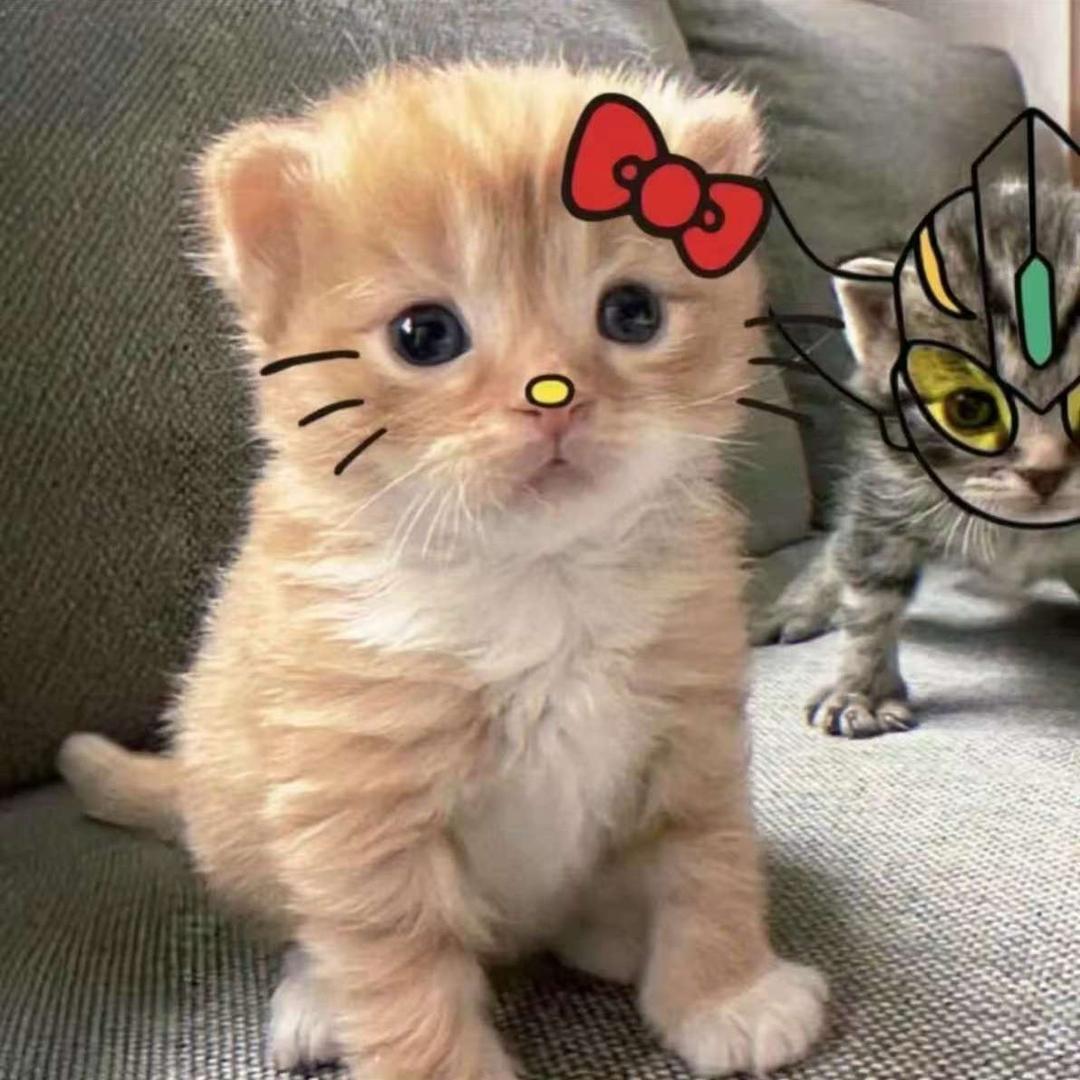 <－biubiu－⊂(`ω´∩)