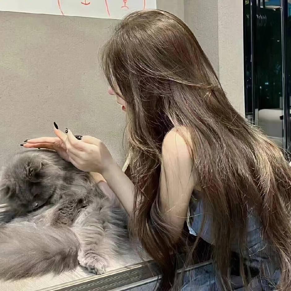 小猫🐈‍⬛