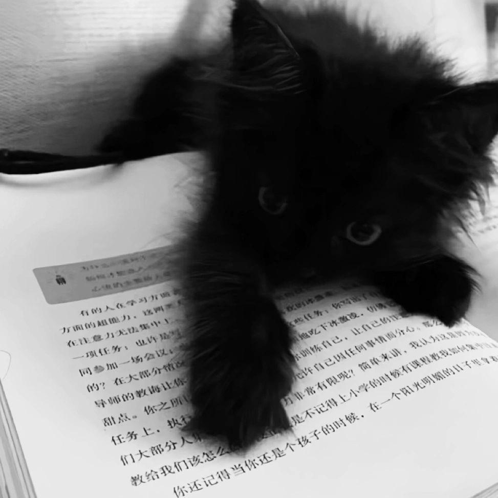 黑猫警长