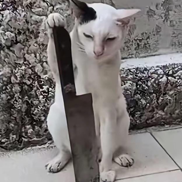 昕.