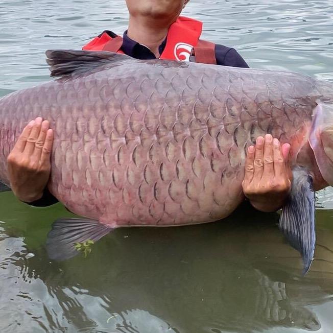 贾东普不空军🎣