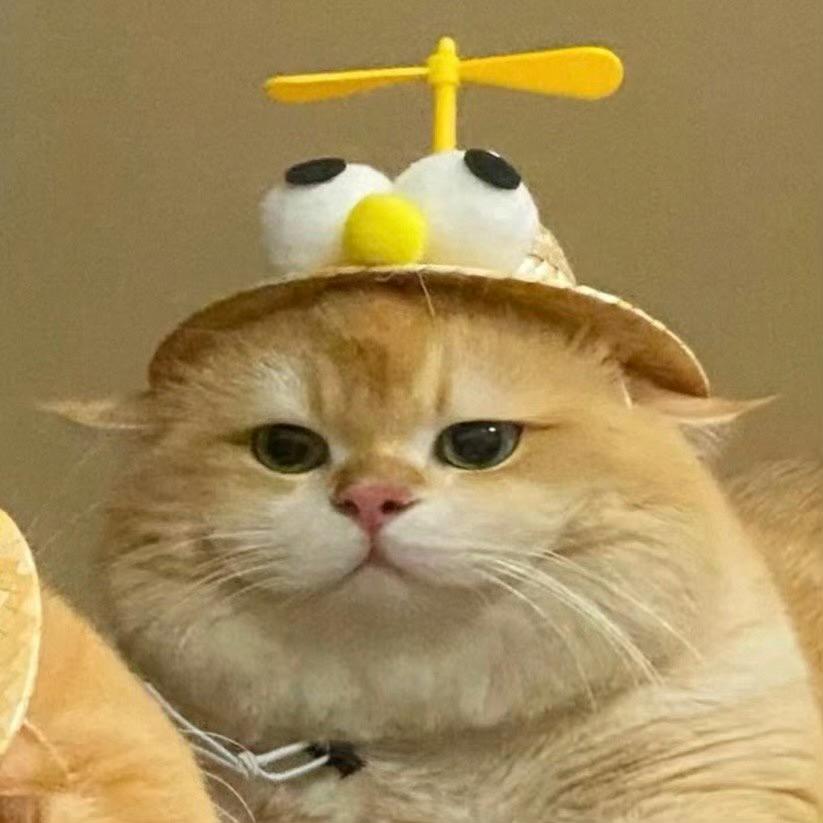 不高兴（间歇性更新版）