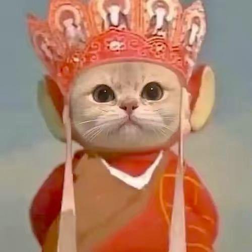 1_日系八嘎酱🐽