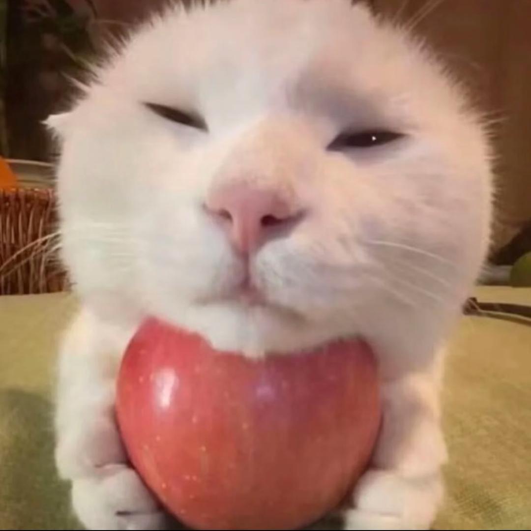 柠檬🍋‍🟩