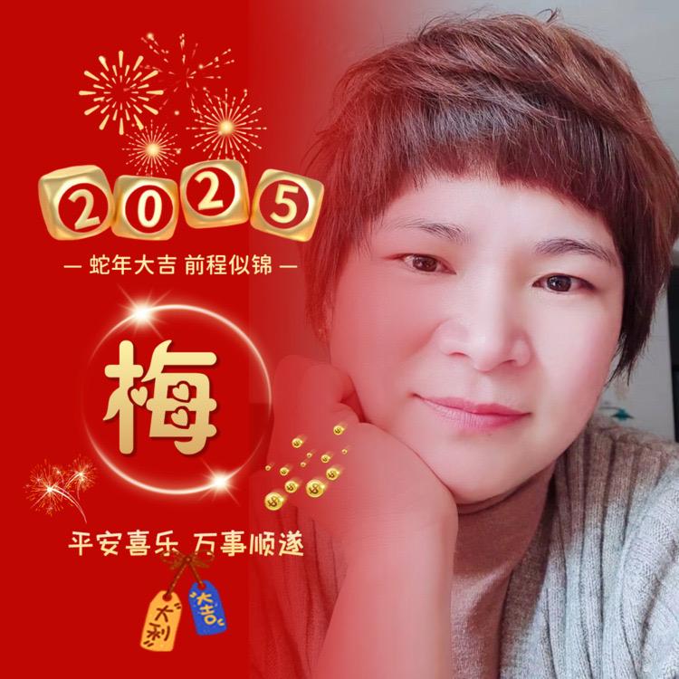 梅花绽放