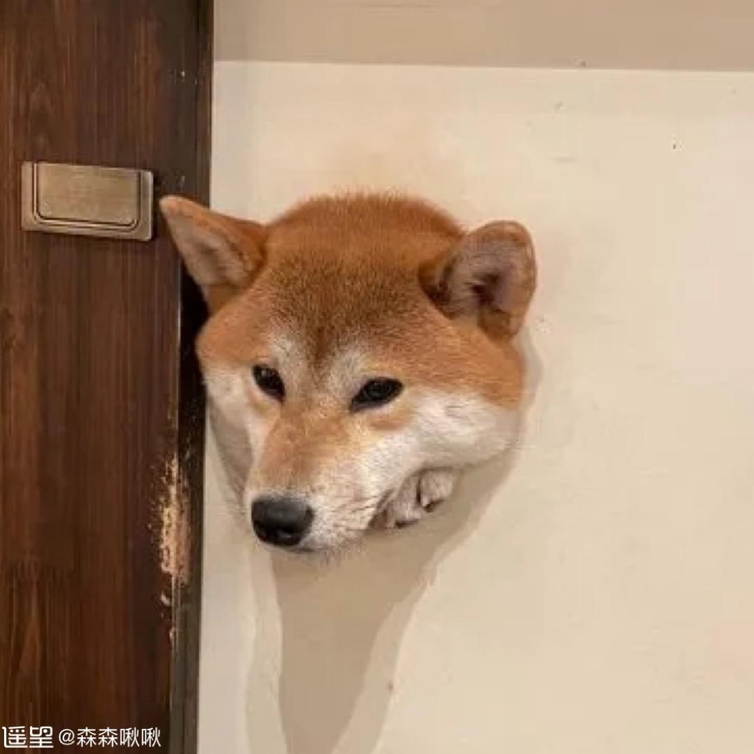 明明.
