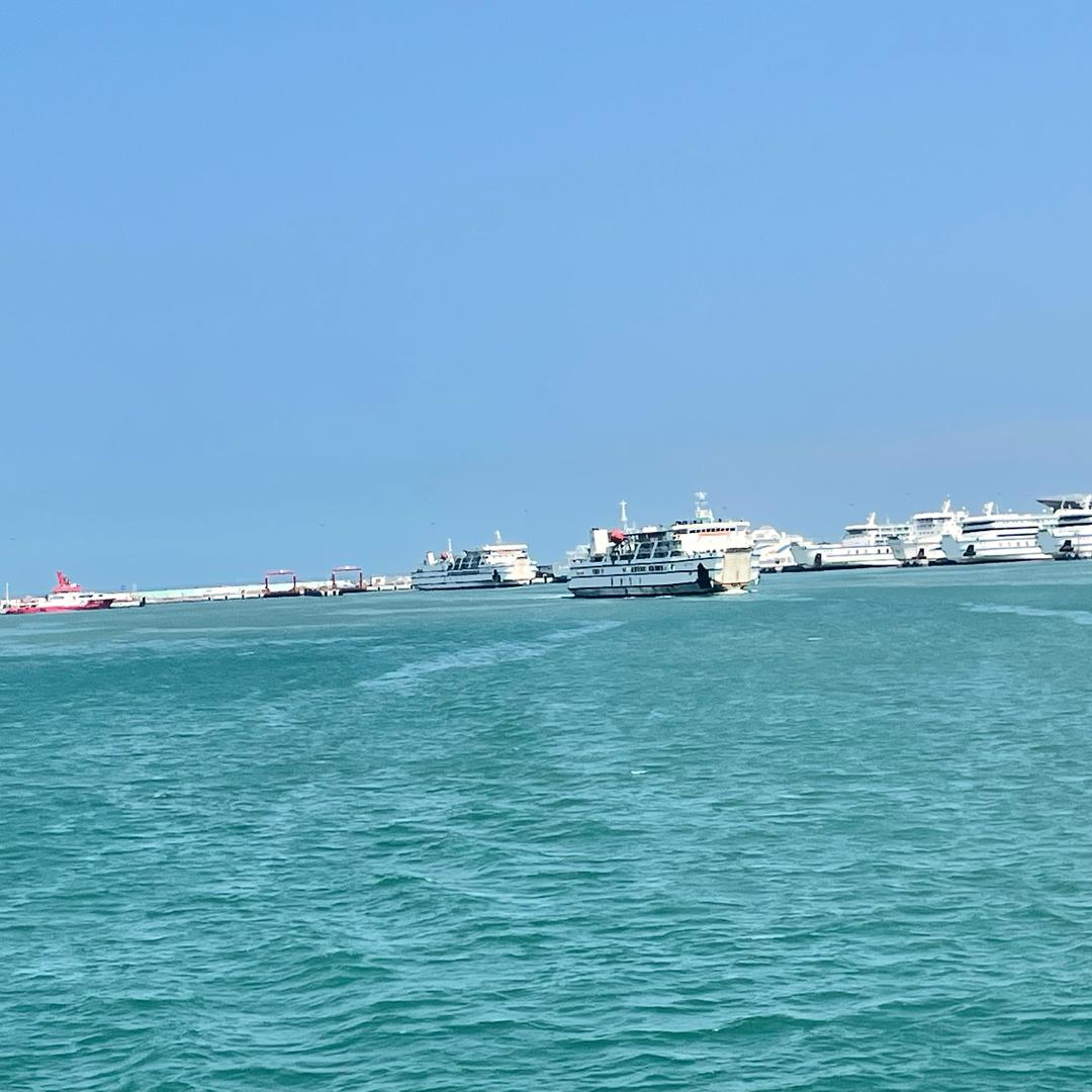 小瑶瑶与他的哥哥-博