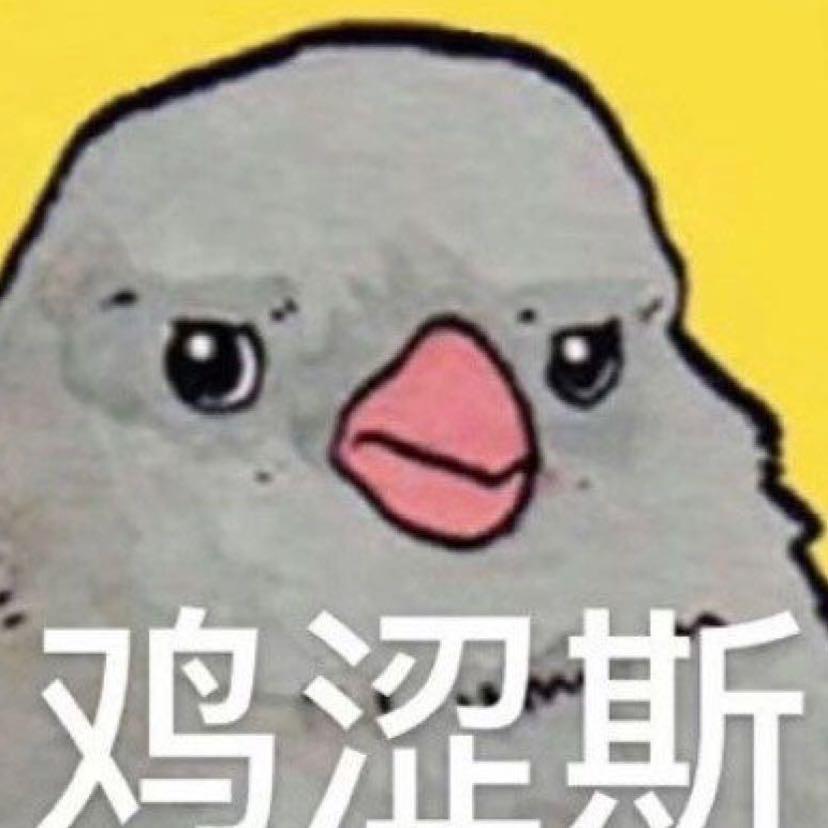 鸡涩斯
