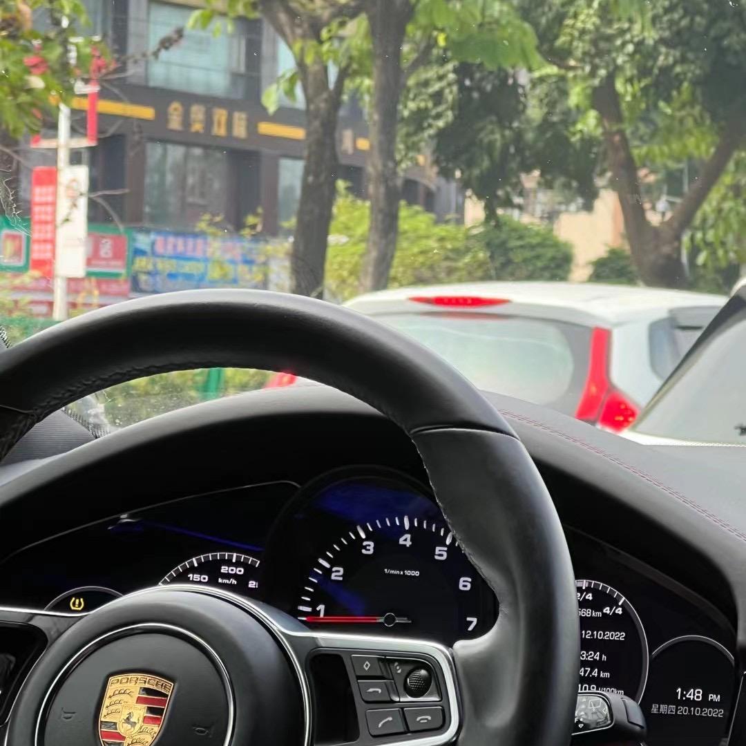 胡同里的猫xujiao