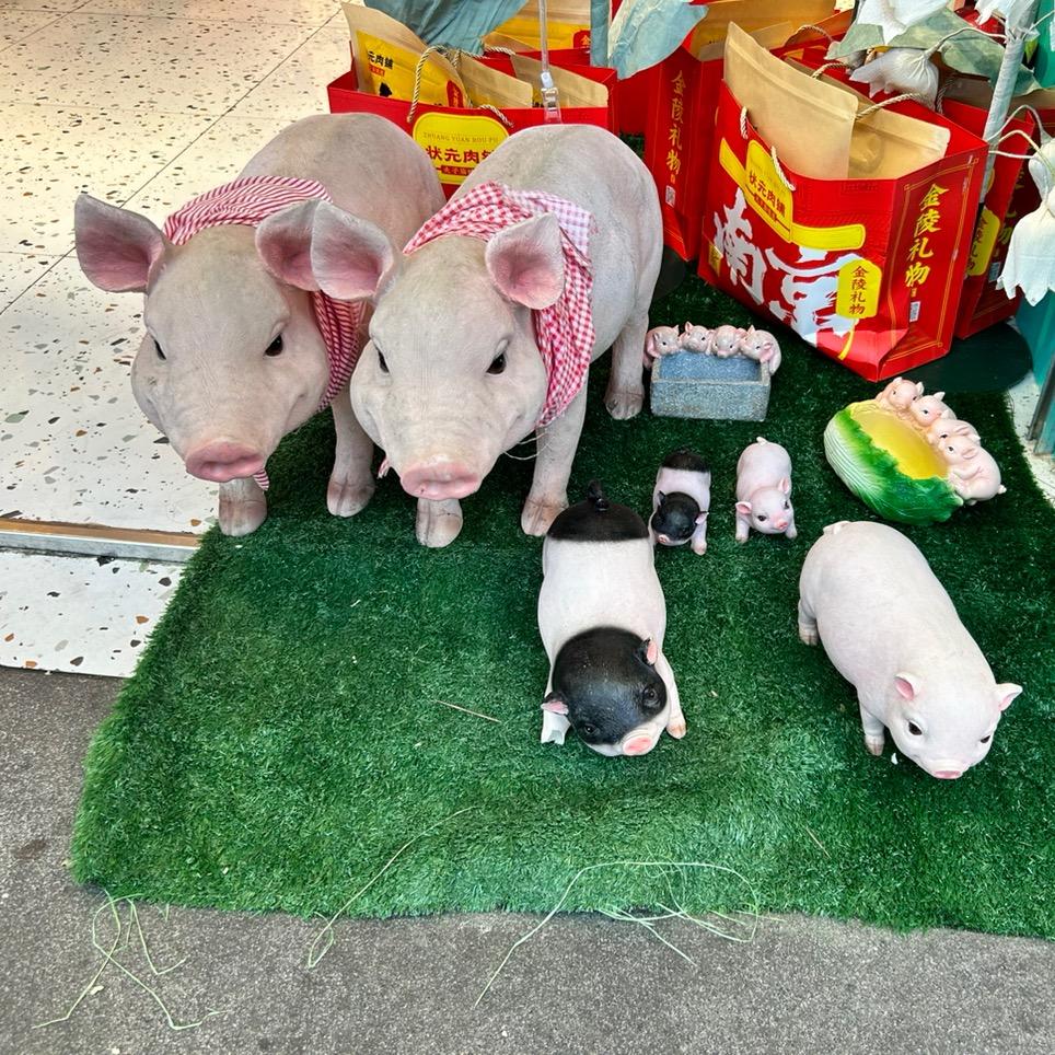 一个似曾相识的陌生人