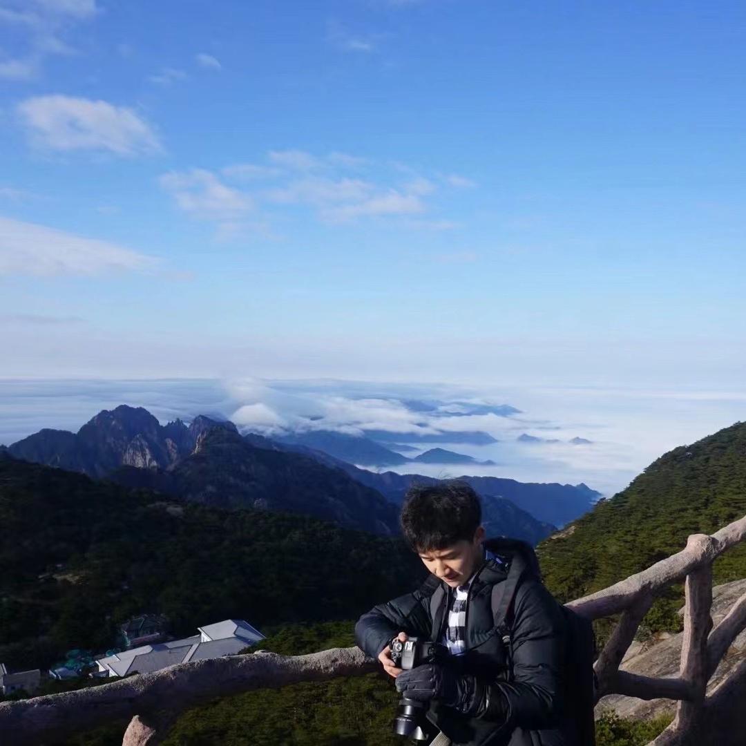 小吴的茶园日记