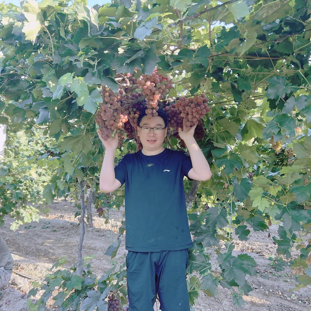 新疆农瑞达作物营养有限公司