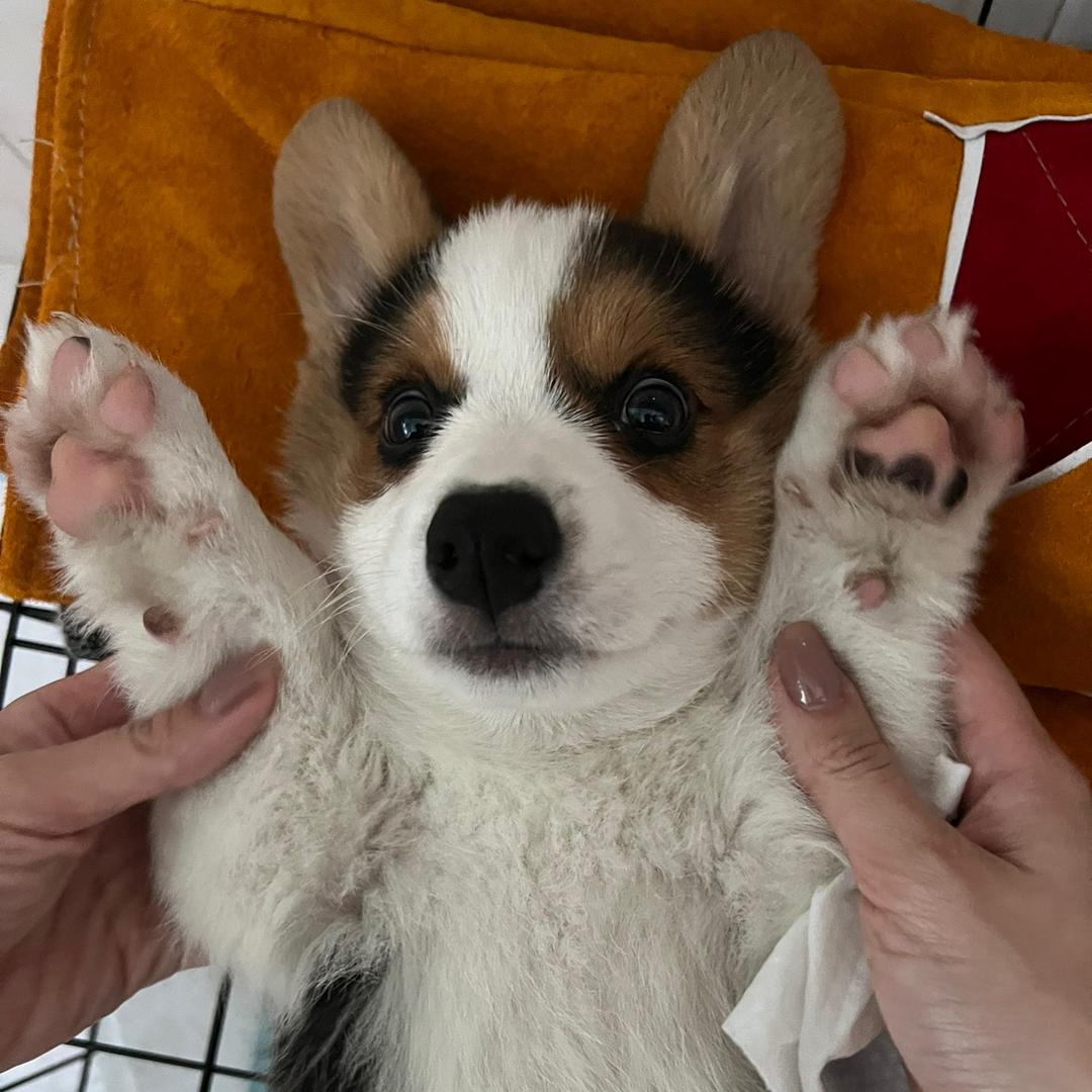 觅奈婚纱化妆师小恬