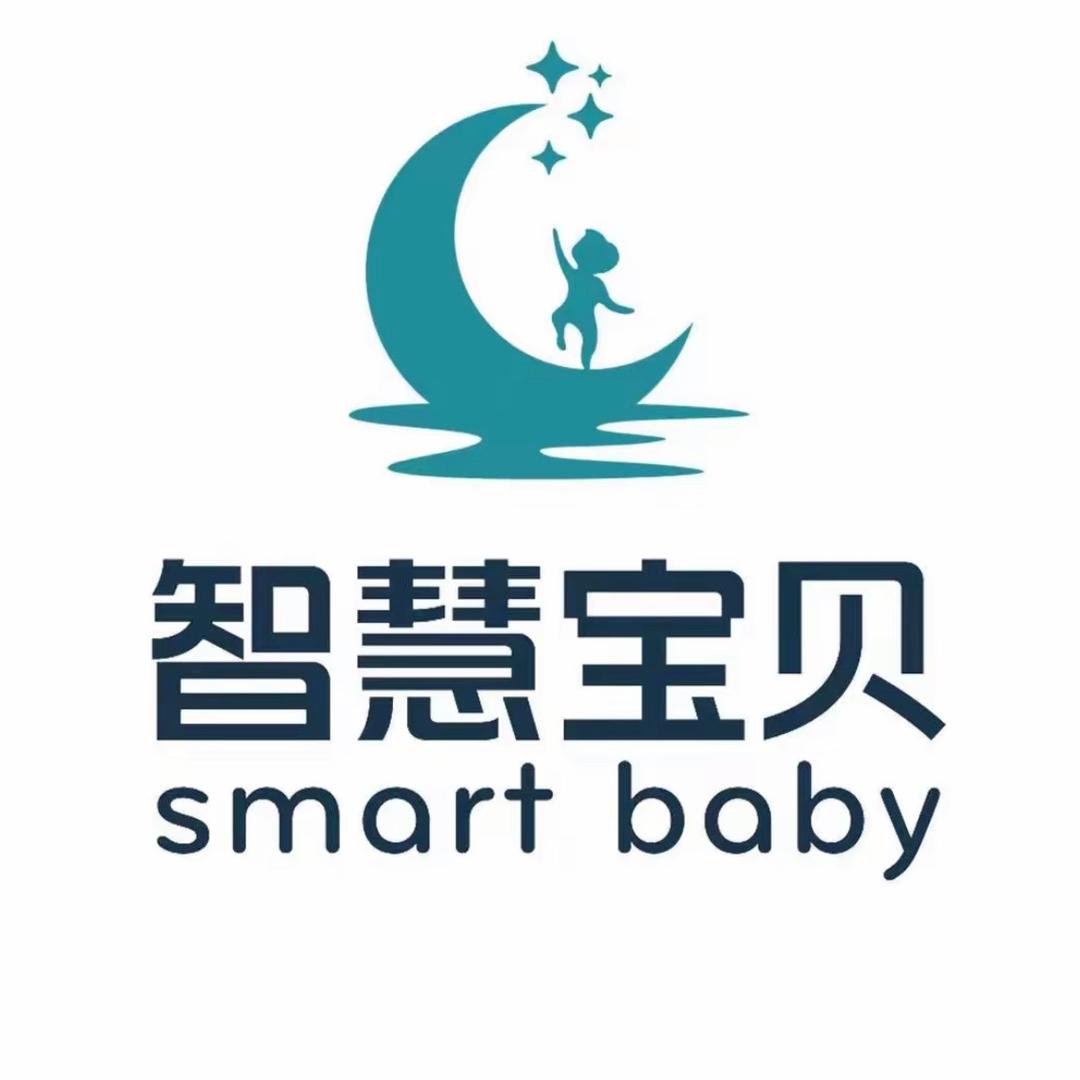 西格玛.智慧宝贝人工智能AI编程李老师
