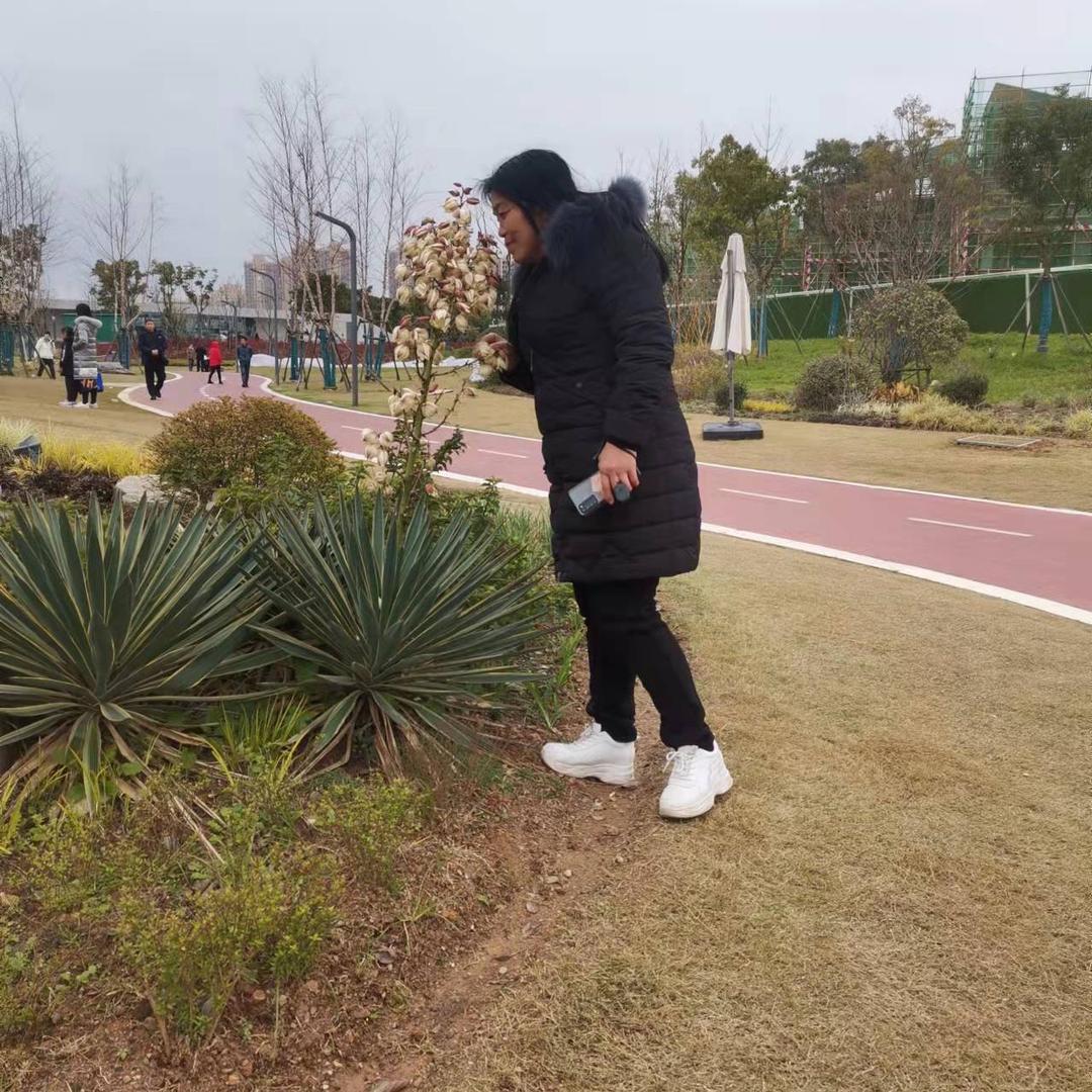 赵家大小姐
