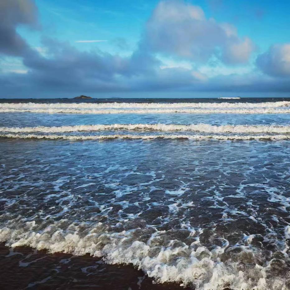 青丝柳，阑珊忆