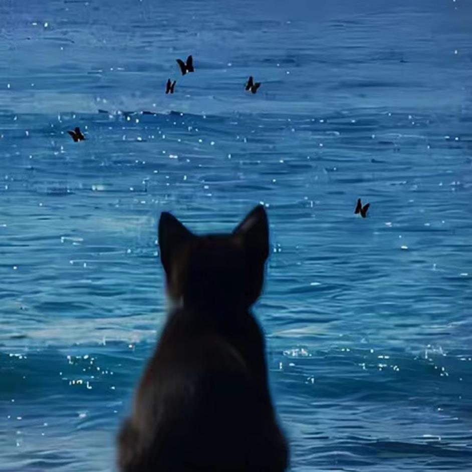 反方向的猫