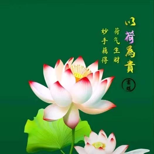 荷气生财钟姐