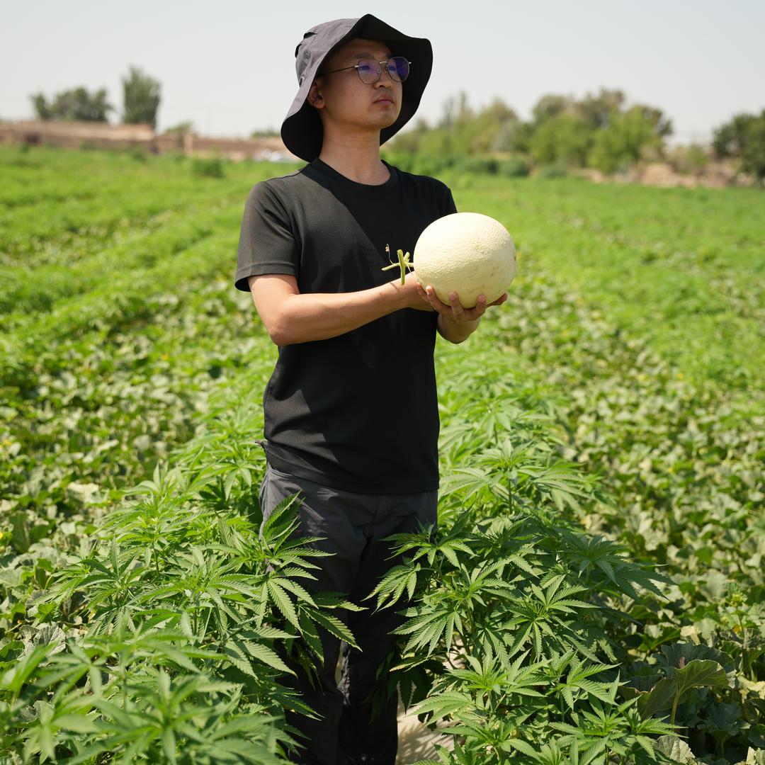 民勤县舌尖乡愁严选铺子
