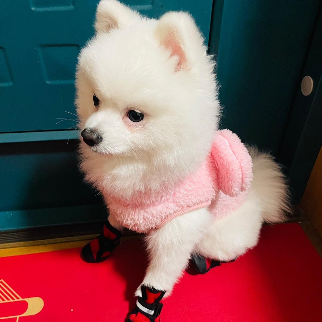 爱玩王者的中年少女