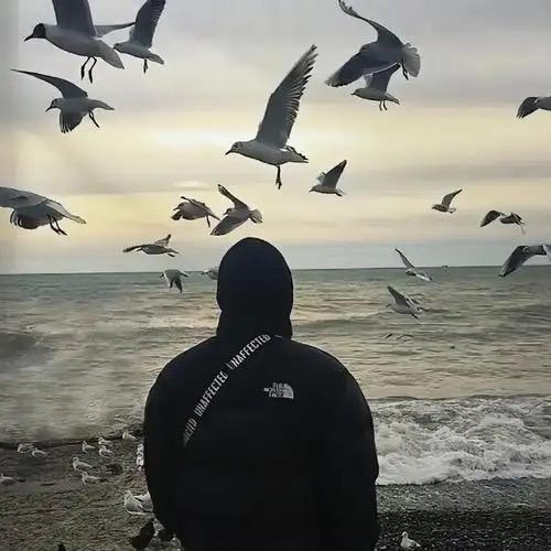 Dusk to Dawn