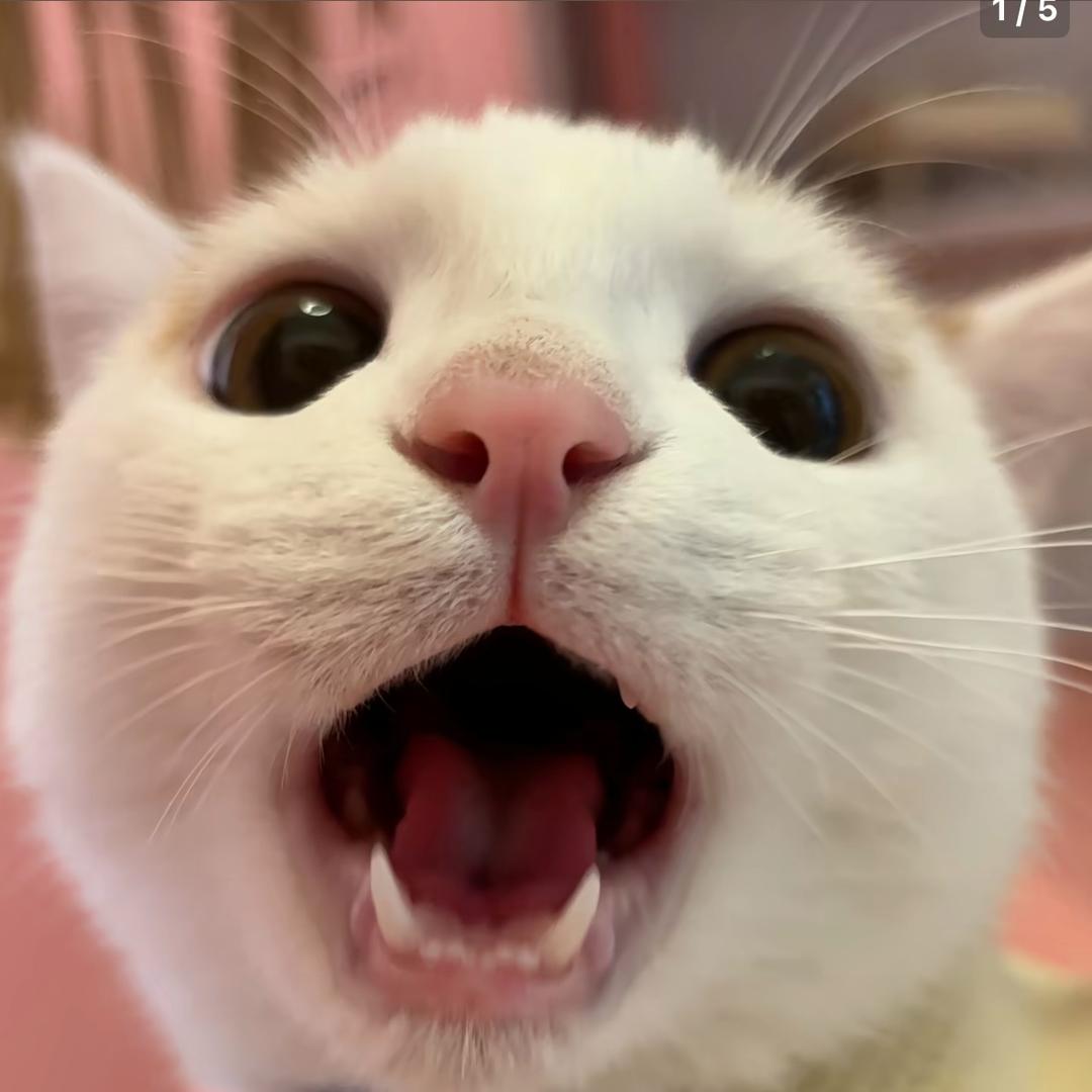 驻名