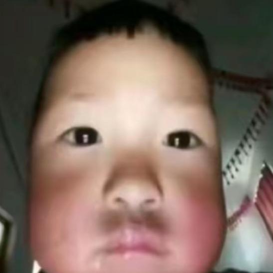 蒲公英
