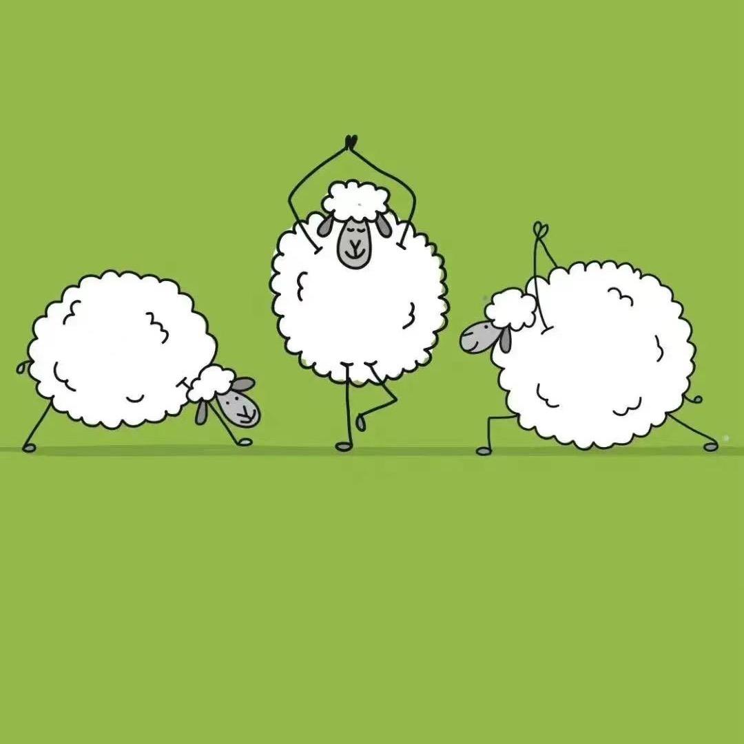 羊咩咩🐑咩咩羊头像