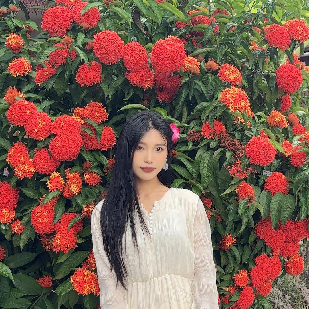 发财花🌹