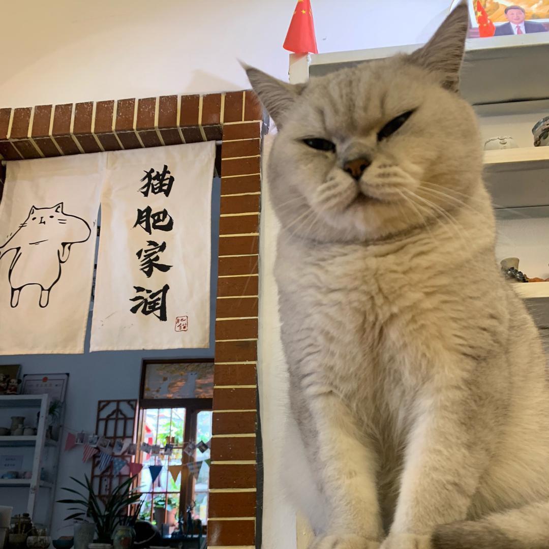 大脸陶艺手作李子