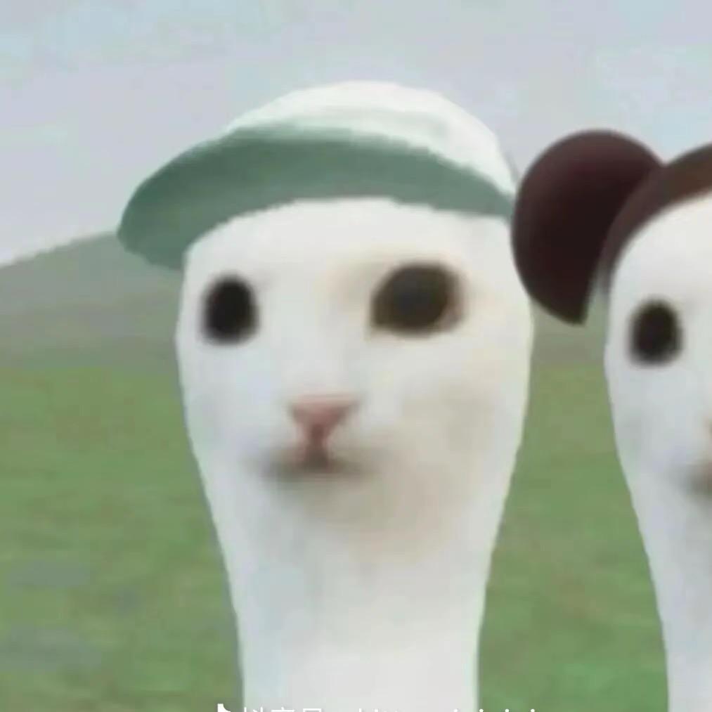 欣欣大王