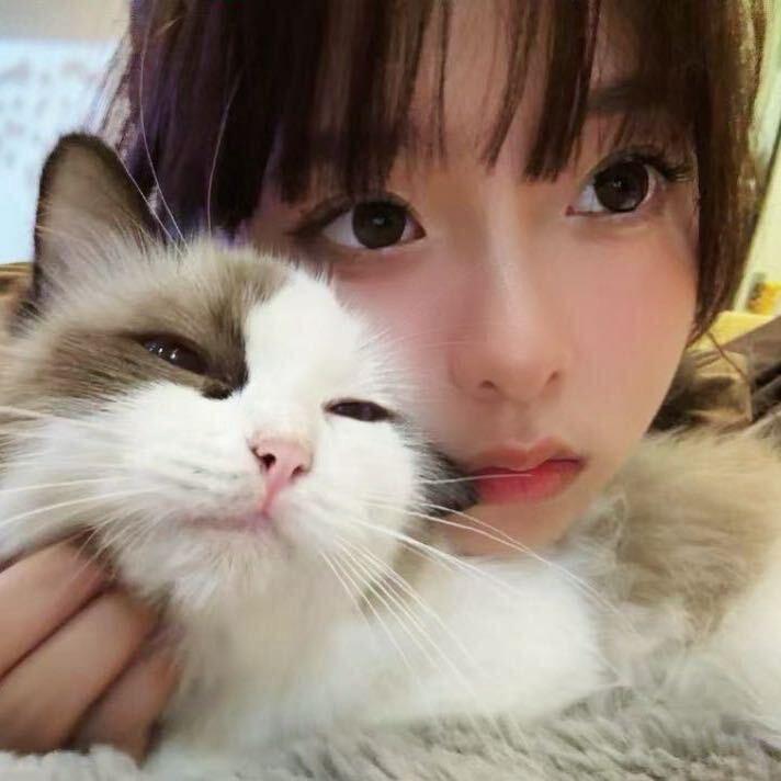 那年杏花微雨