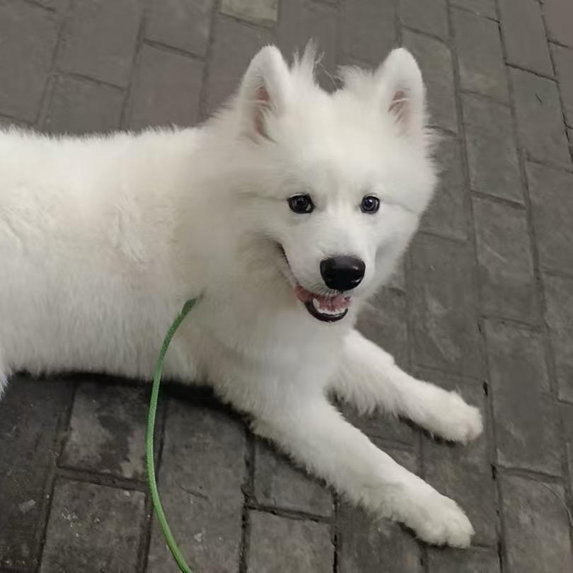 蒋💕家的姑娘💕