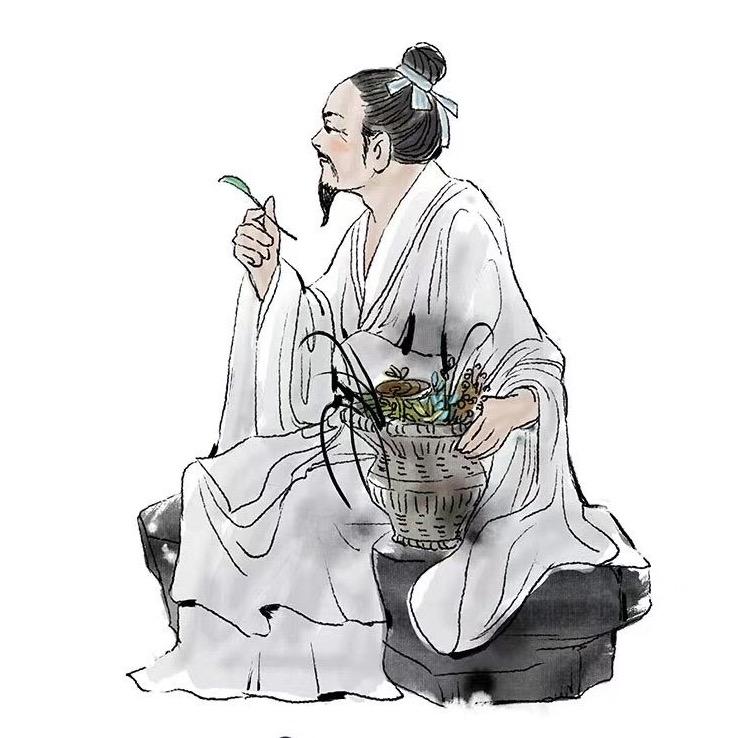 南乔🍃