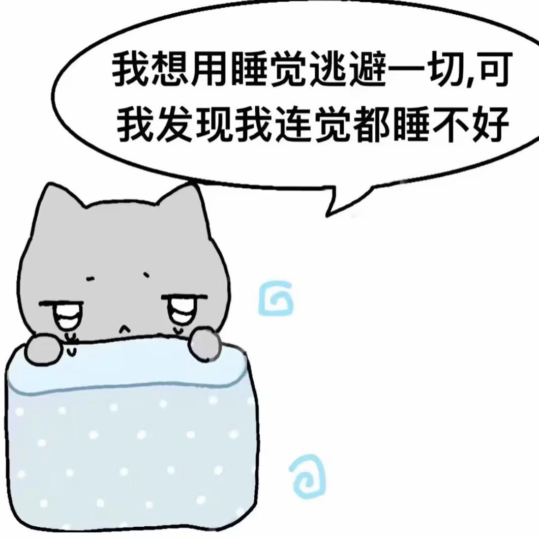 熊猫没哭头像