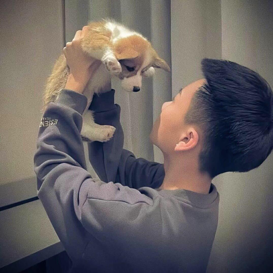 🐶🐔