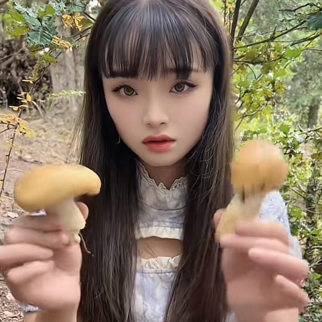 高原🍄‍🟫菇勇者