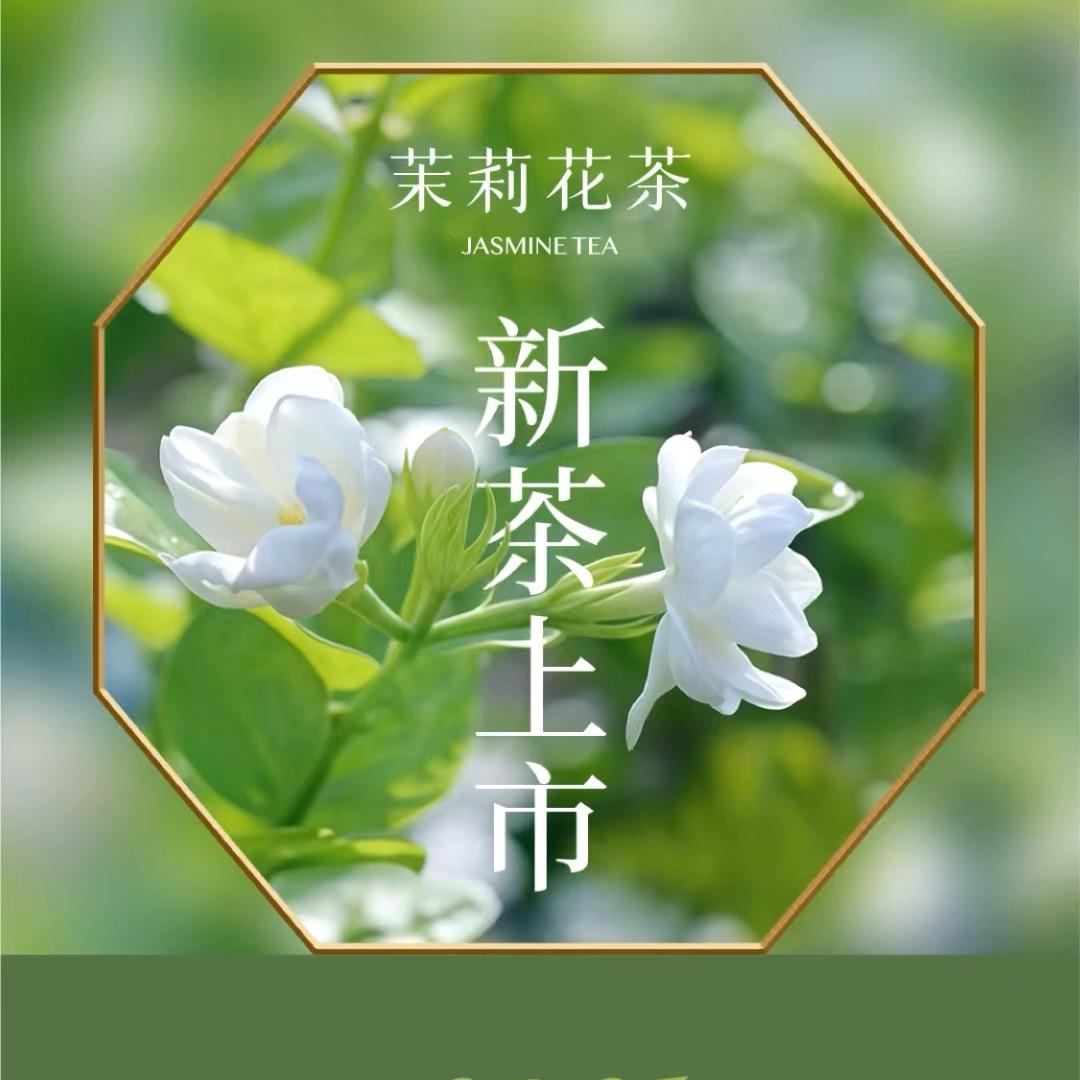 孝文妍家茉莉花茶