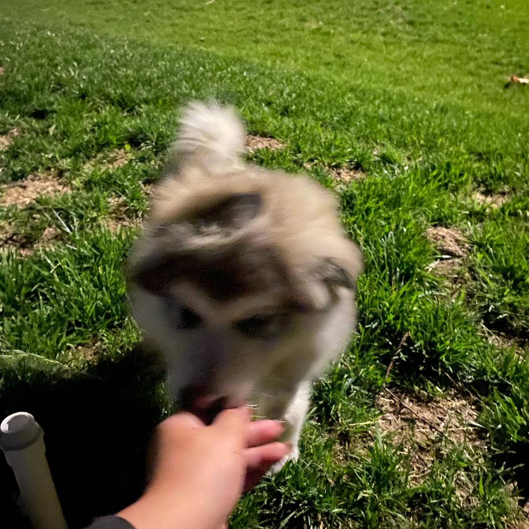 利群生活超市(空港佳苑店)宠粉号