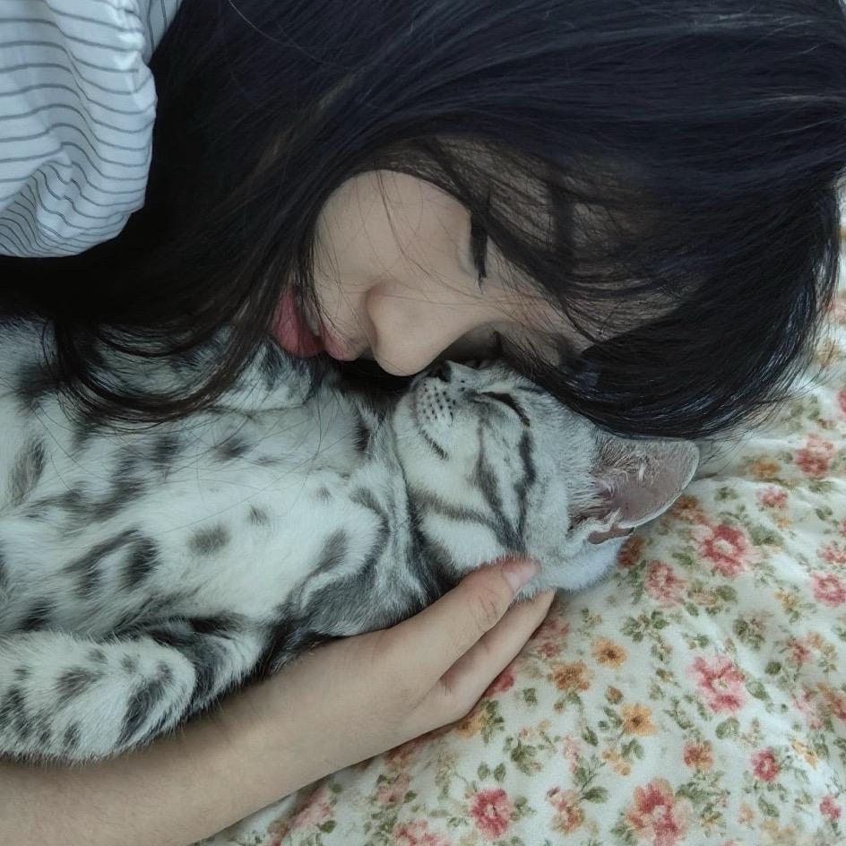 柠.檬.