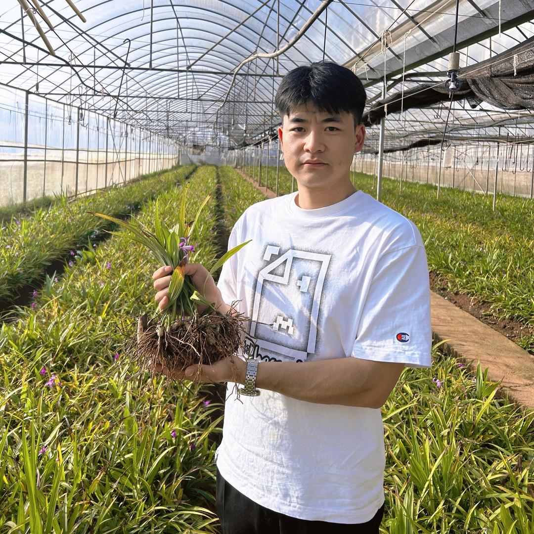中药材种植管理