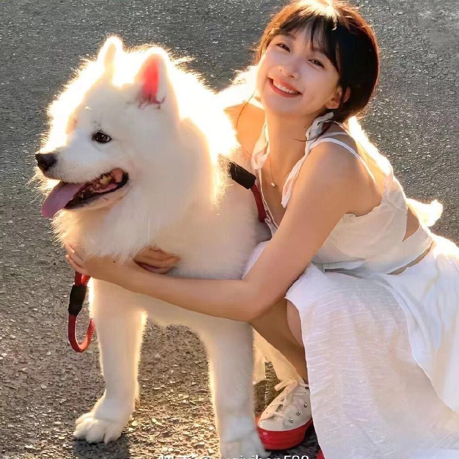 小白羊🐑