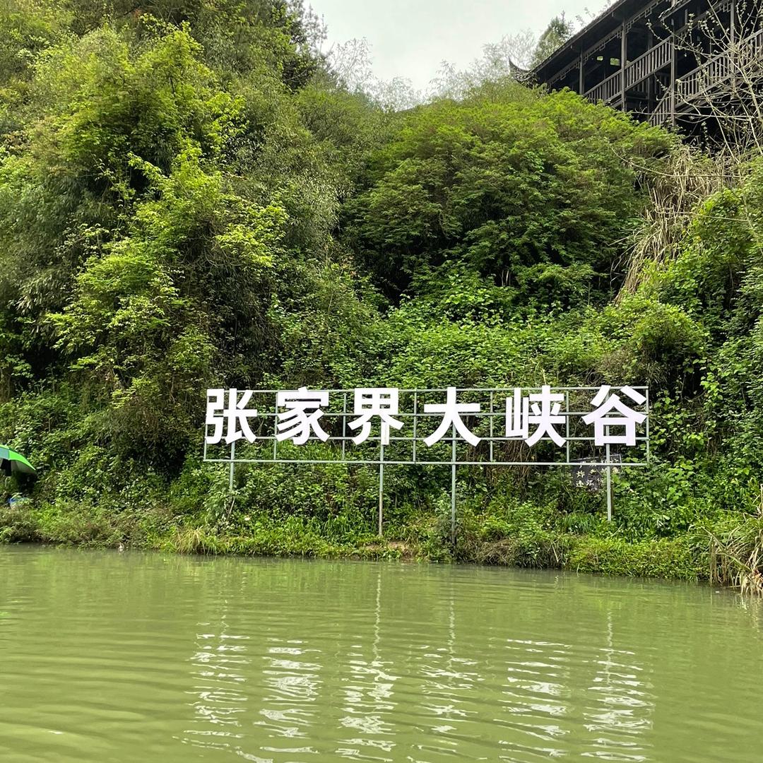 晨曦（拒绝私聊）