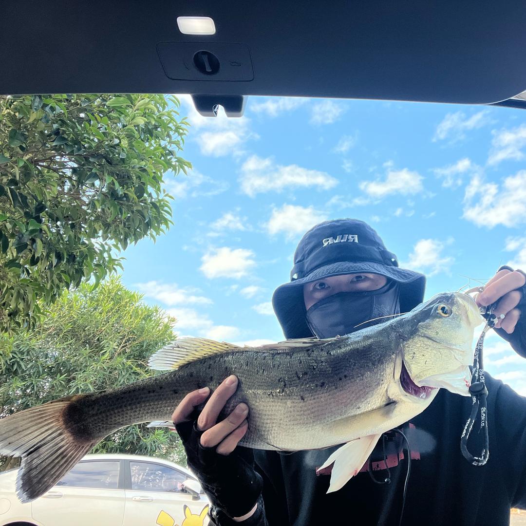 陈以三🎣