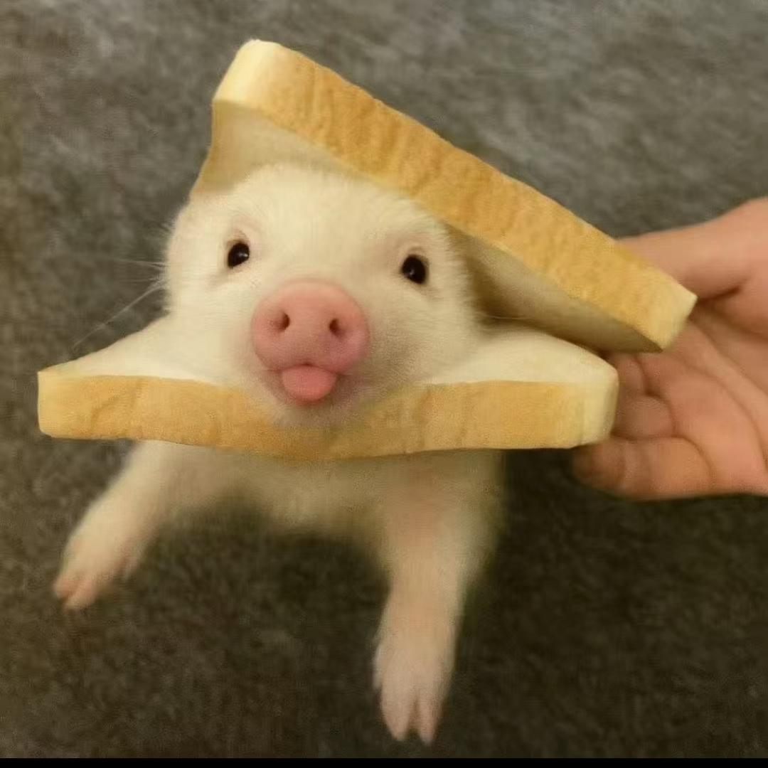 不翘头.