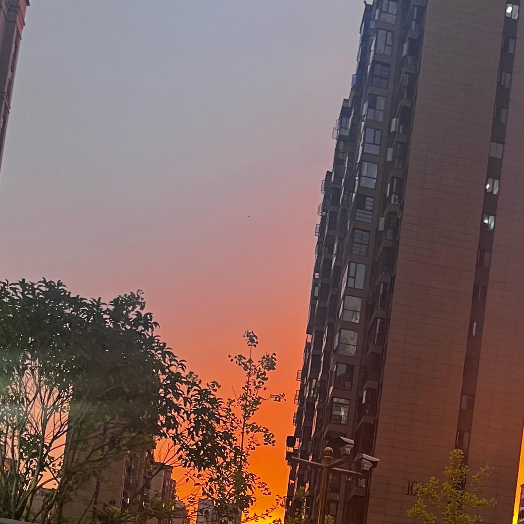 小5