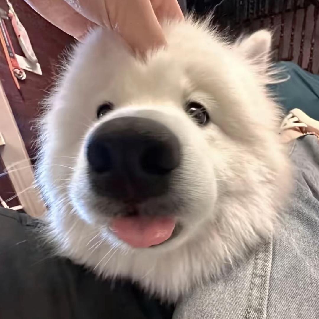 麻辣火锅o