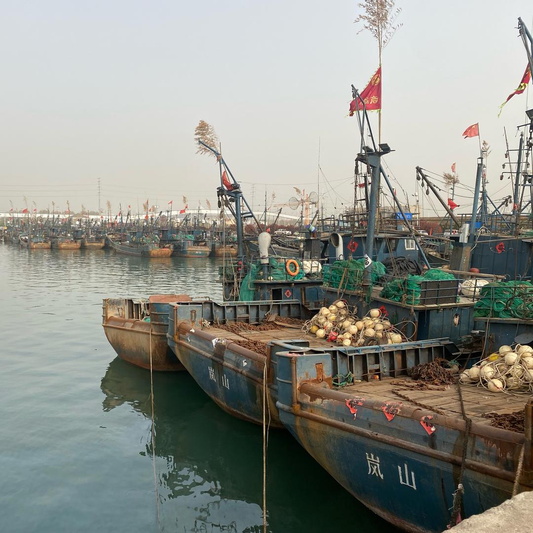 小🐟优选