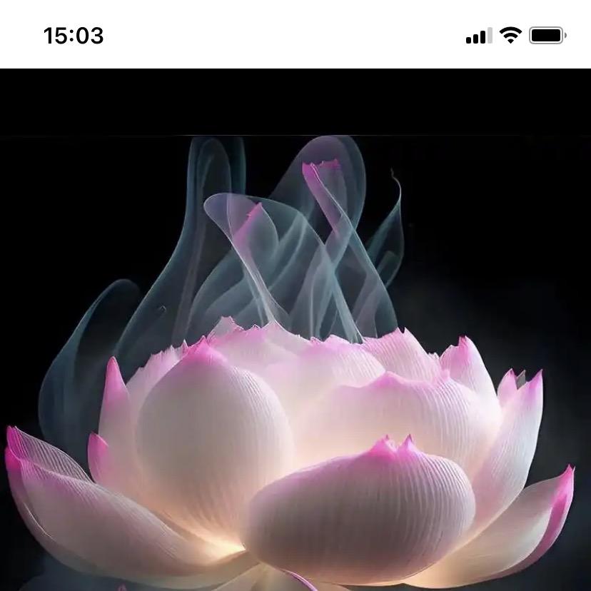 清婉聊装修