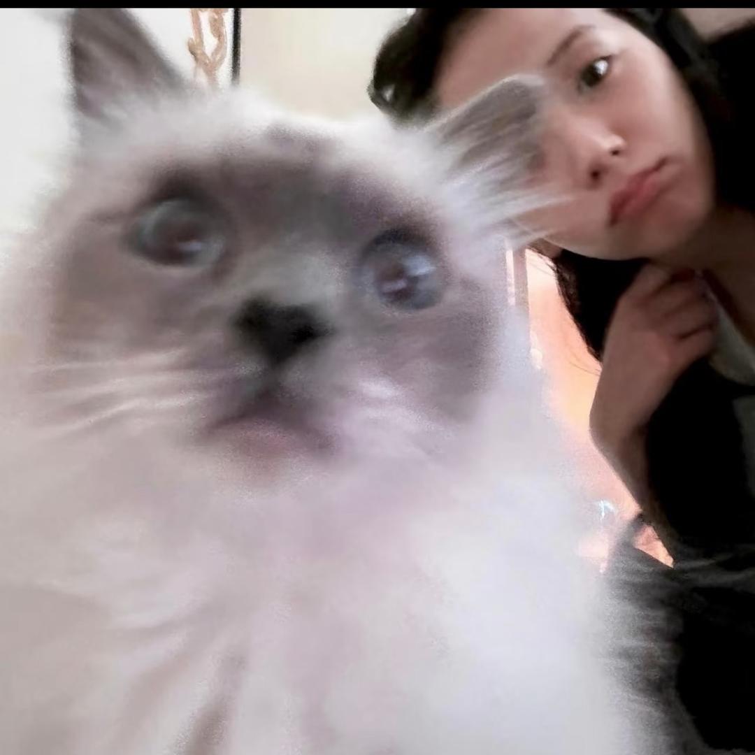 ▶︎ ︎ı||ıı||ıı||ı 52”